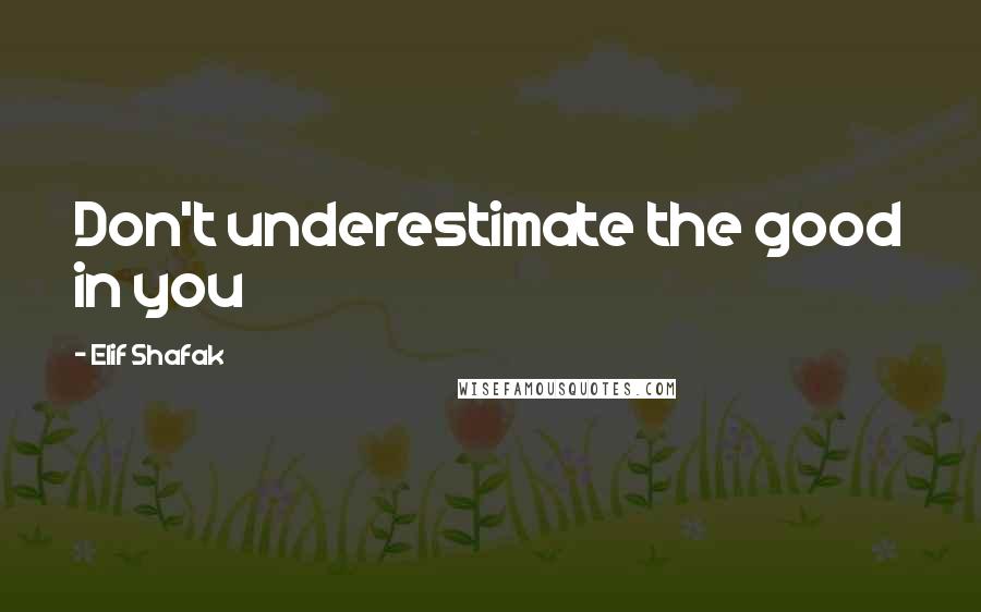 Elif Shafak Quotes: Don't underestimate the good in you