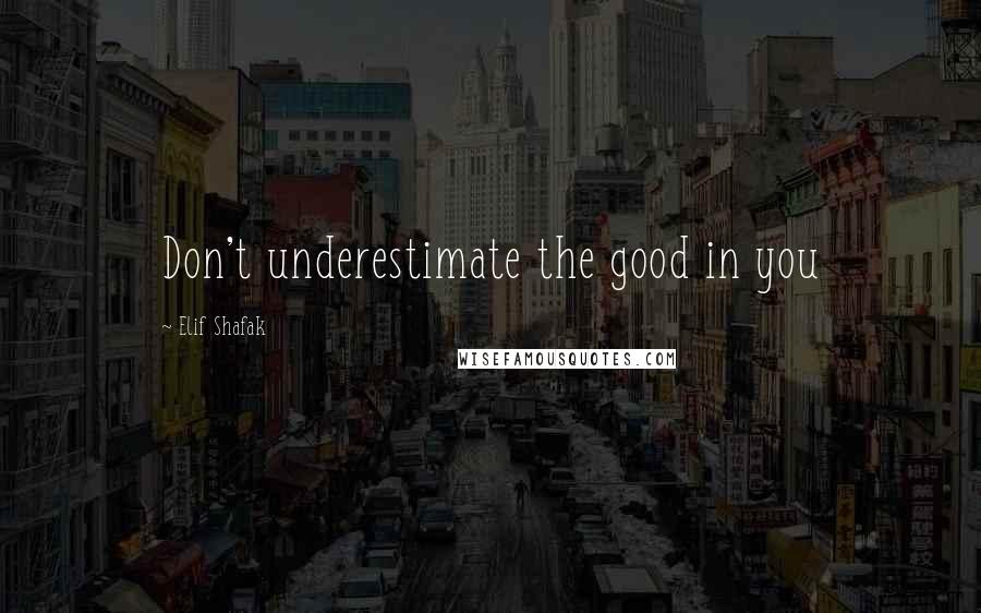 Elif Shafak Quotes: Don't underestimate the good in you
