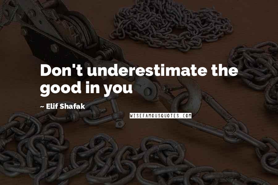 Elif Shafak Quotes: Don't underestimate the good in you