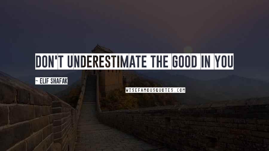 Elif Shafak Quotes: Don't underestimate the good in you