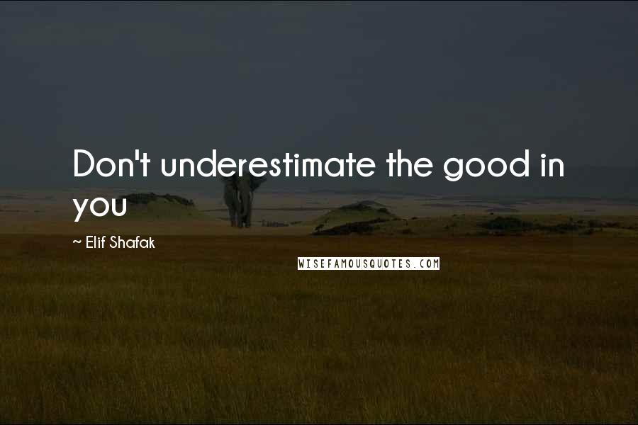 Elif Shafak Quotes: Don't underestimate the good in you