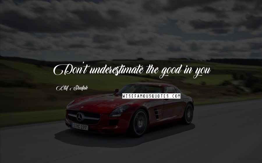 Elif Shafak Quotes: Don't underestimate the good in you
