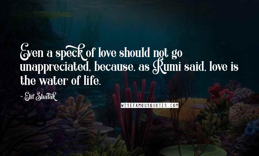 Elif Shafak Quotes: Even a speck of love should not go unappreciated, because, as Rumi said, love is the water of life.