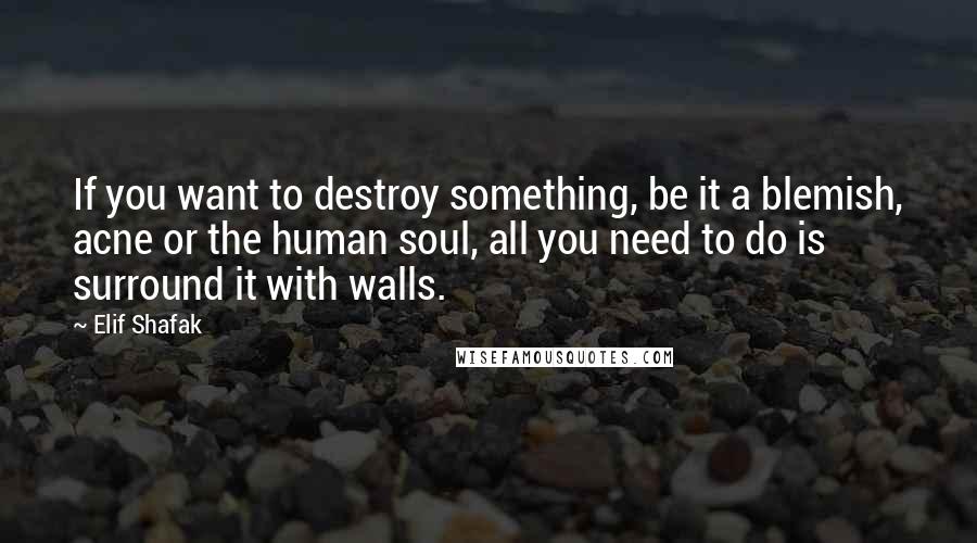 Elif Shafak Quotes: If you want to destroy something, be it a blemish, acne or the human soul, all you need to do is surround it with walls.