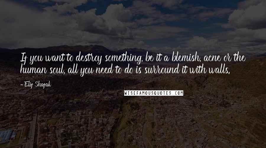 Elif Shafak Quotes: If you want to destroy something, be it a blemish, acne or the human soul, all you need to do is surround it with walls.