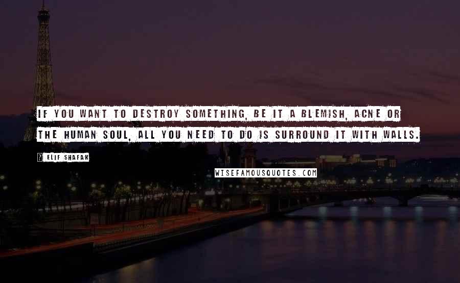 Elif Shafak Quotes: If you want to destroy something, be it a blemish, acne or the human soul, all you need to do is surround it with walls.