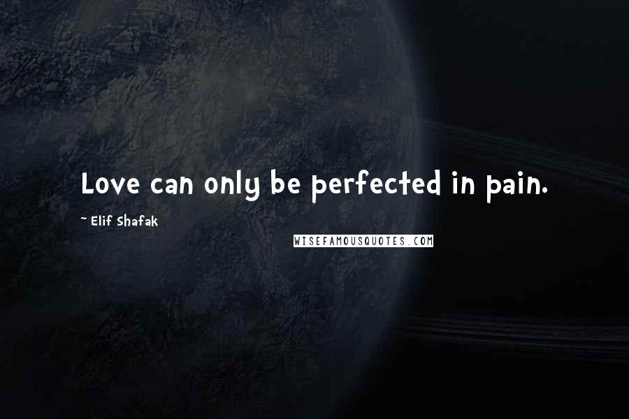 Elif Shafak Quotes: Love can only be perfected in pain.