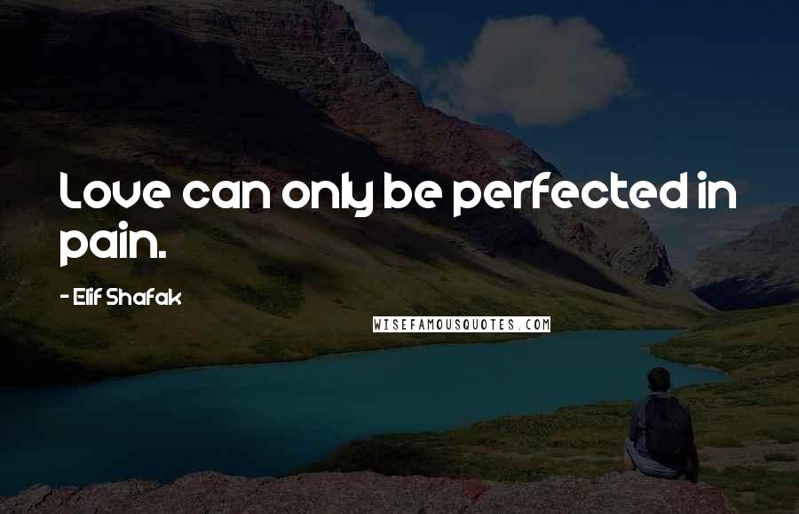 Elif Shafak Quotes: Love can only be perfected in pain.