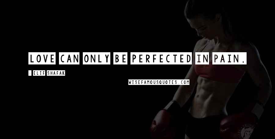 Elif Shafak Quotes: Love can only be perfected in pain.