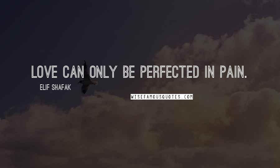 Elif Shafak Quotes: Love can only be perfected in pain.