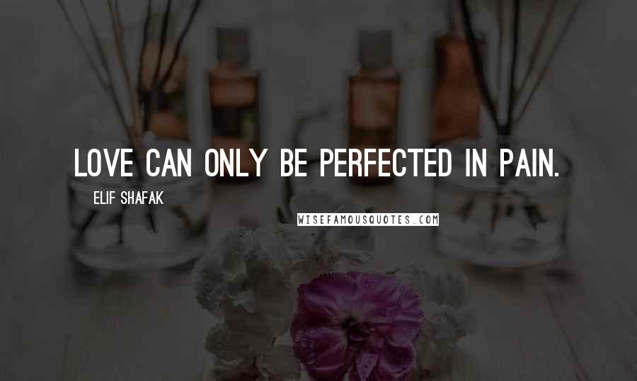 Elif Shafak Quotes: Love can only be perfected in pain.