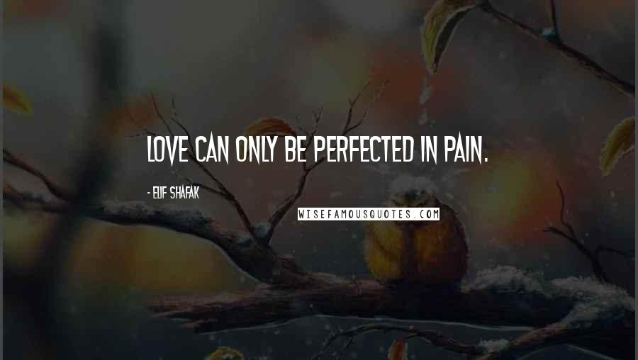 Elif Shafak Quotes: Love can only be perfected in pain.