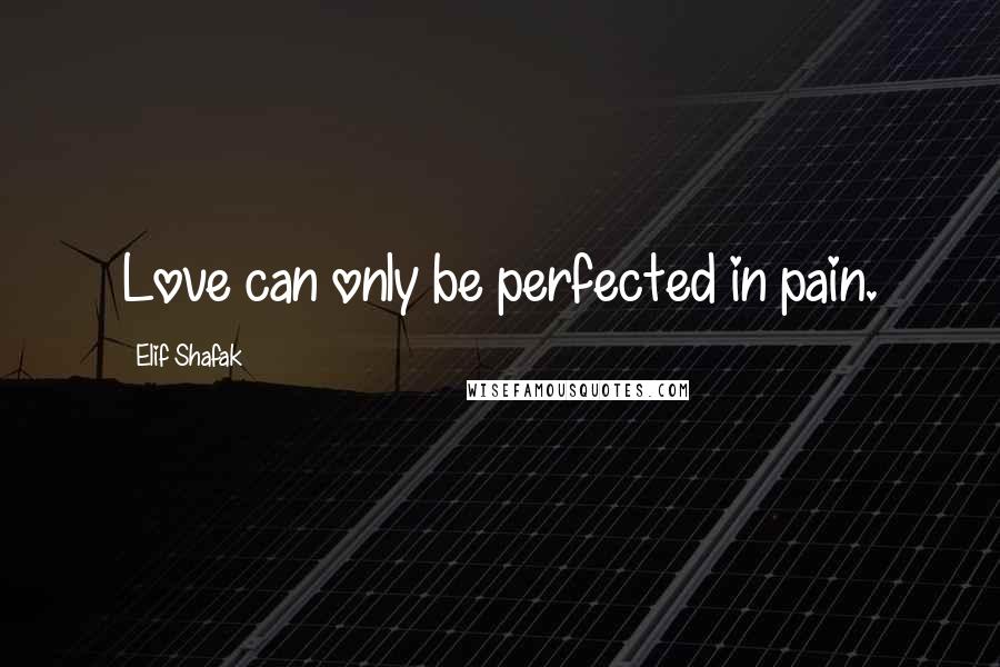 Elif Shafak Quotes: Love can only be perfected in pain.