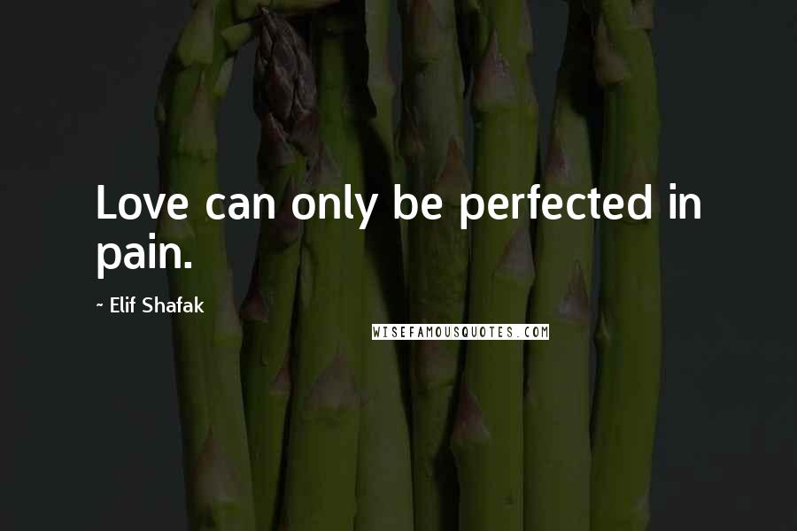 Elif Shafak Quotes: Love can only be perfected in pain.