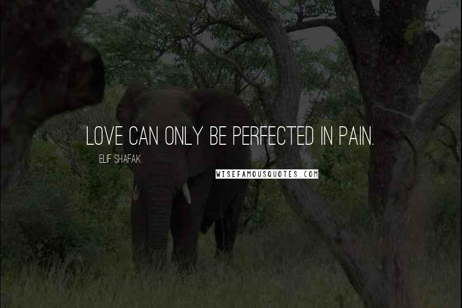 Elif Shafak Quotes: Love can only be perfected in pain.