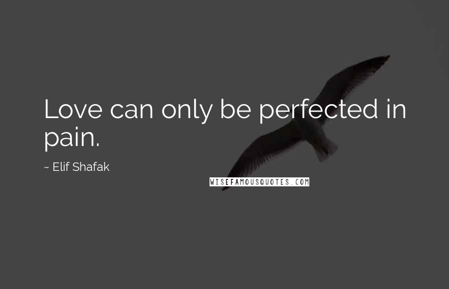 Elif Shafak Quotes: Love can only be perfected in pain.
