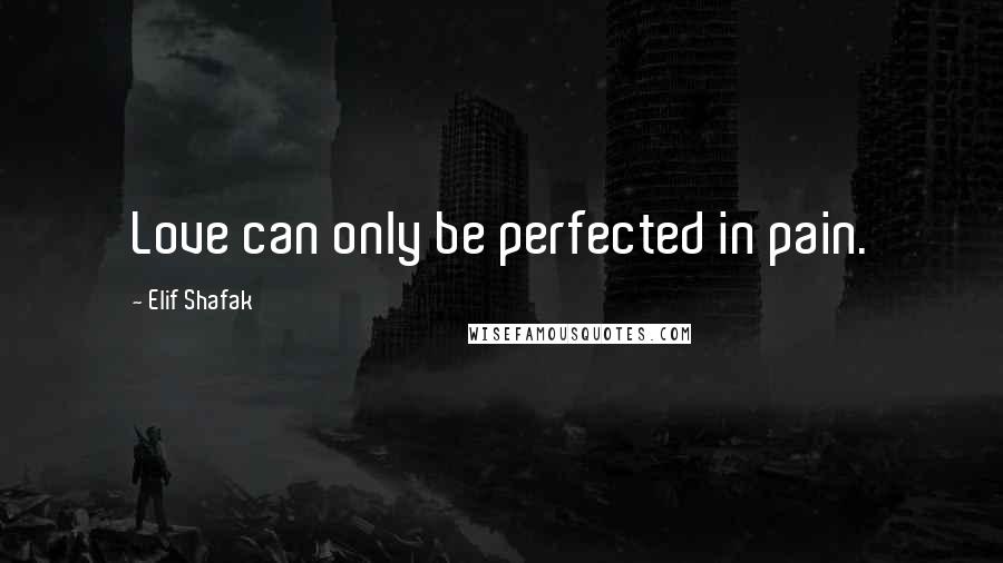 Elif Shafak Quotes: Love can only be perfected in pain.