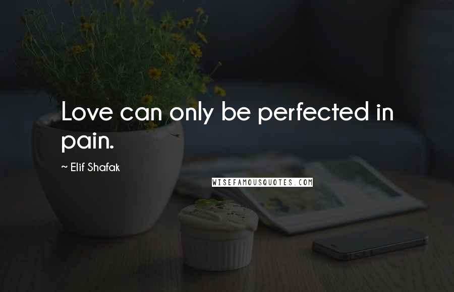 Elif Shafak Quotes: Love can only be perfected in pain.