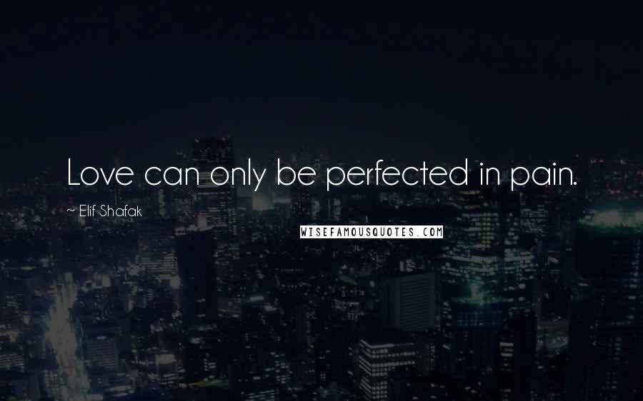 Elif Shafak Quotes: Love can only be perfected in pain.
