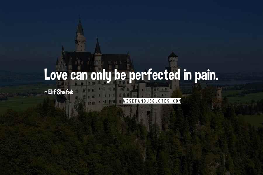 Elif Shafak Quotes: Love can only be perfected in pain.