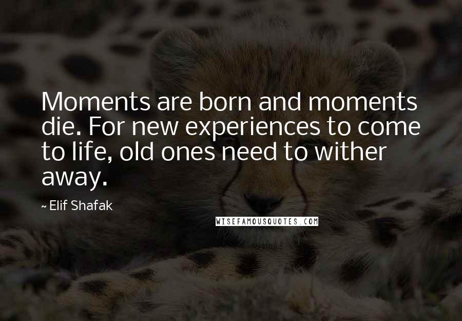 Elif Shafak Quotes: Moments are born and moments die. For new experiences to come to life, old ones need to wither away.