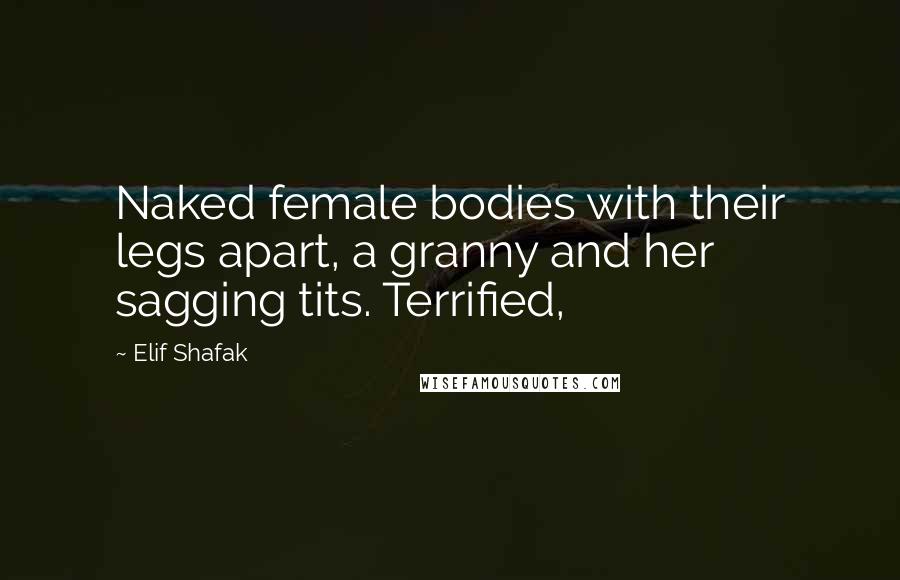 Elif Shafak Quotes: Naked female bodies with their legs apart, a granny and her sagging tits. Terrified,