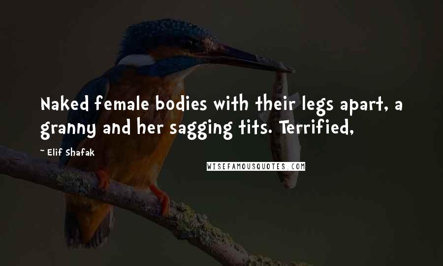 Elif Shafak Quotes: Naked female bodies with their legs apart, a granny and her sagging tits. Terrified,