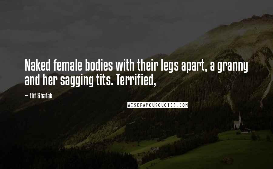 Elif Shafak Quotes: Naked female bodies with their legs apart, a granny and her sagging tits. Terrified,