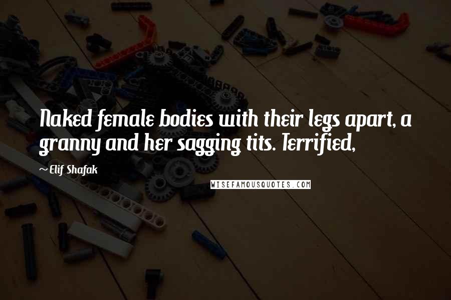 Elif Shafak Quotes: Naked female bodies with their legs apart, a granny and her sagging tits. Terrified,