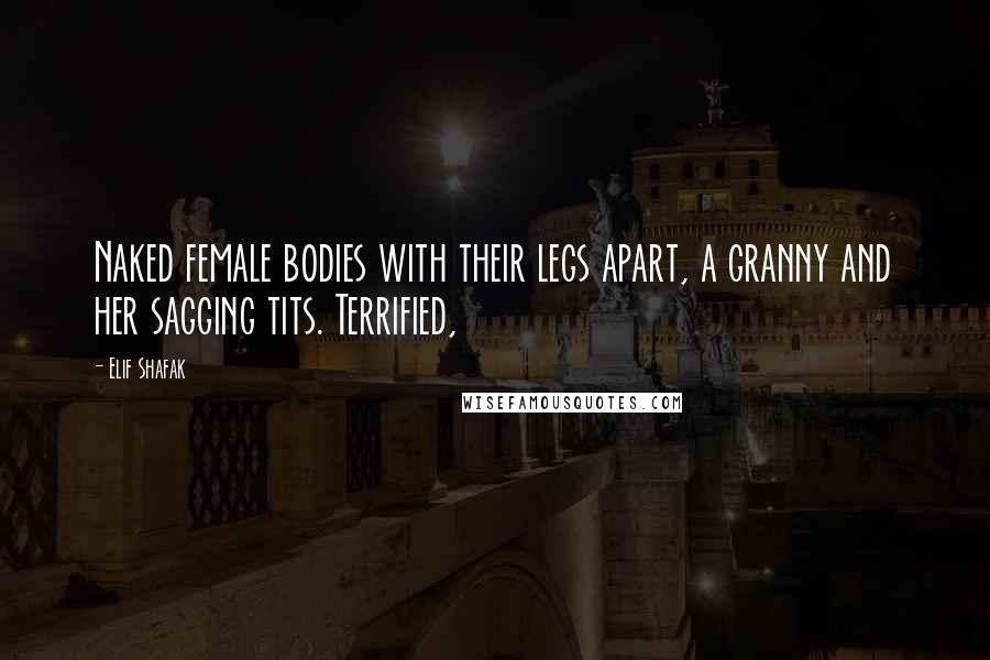 Elif Shafak Quotes: Naked female bodies with their legs apart, a granny and her sagging tits. Terrified,