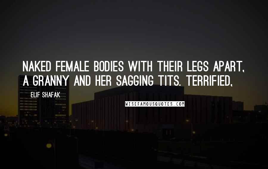 Elif Shafak Quotes: Naked female bodies with their legs apart, a granny and her sagging tits. Terrified,