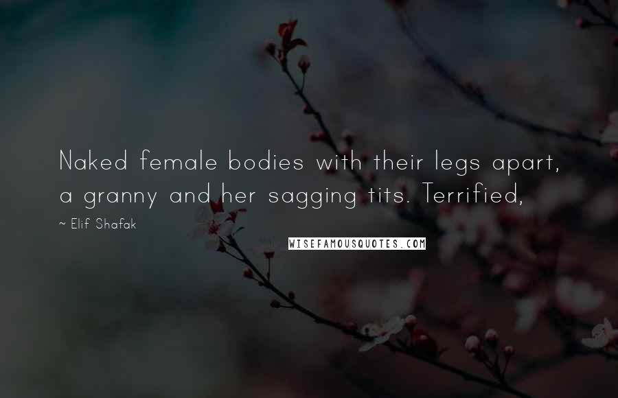 Elif Shafak Quotes: Naked female bodies with their legs apart, a granny and her sagging tits. Terrified,