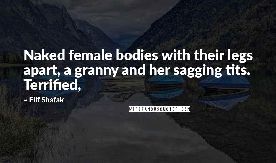 Elif Shafak Quotes: Naked female bodies with their legs apart, a granny and her sagging tits. Terrified,