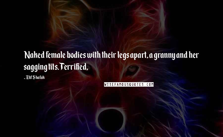 Elif Shafak Quotes: Naked female bodies with their legs apart, a granny and her sagging tits. Terrified,