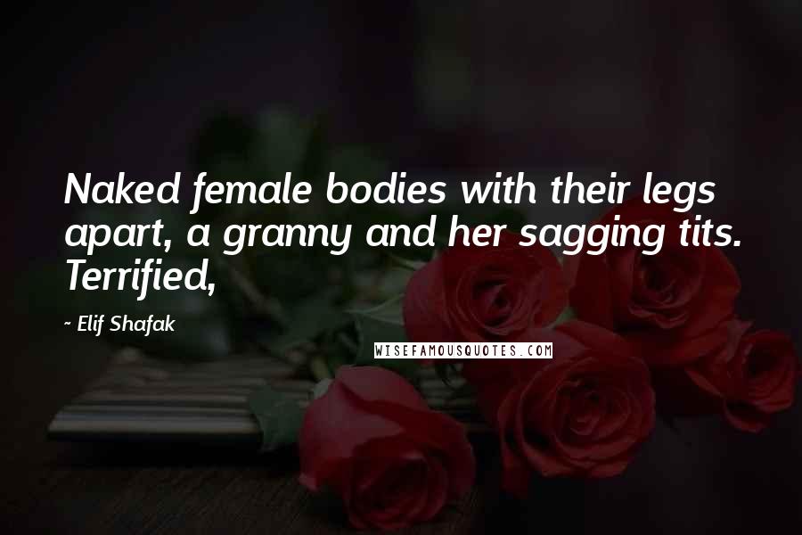 Elif Shafak Quotes: Naked female bodies with their legs apart, a granny and her sagging tits. Terrified,
