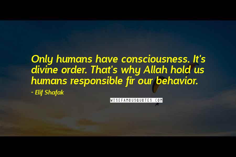 Elif Shafak Quotes: Only humans have consciousness. It's divine order. That's why Allah hold us humans responsible fir our behavior.