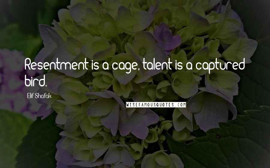 Elif Shafak Quotes: Resentment is a cage, talent is a captured bird.