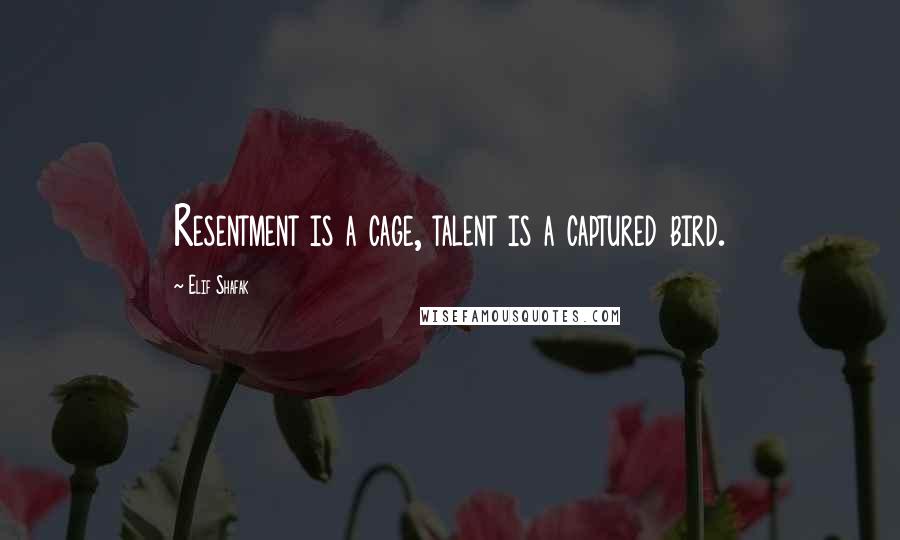 Elif Shafak Quotes: Resentment is a cage, talent is a captured bird.