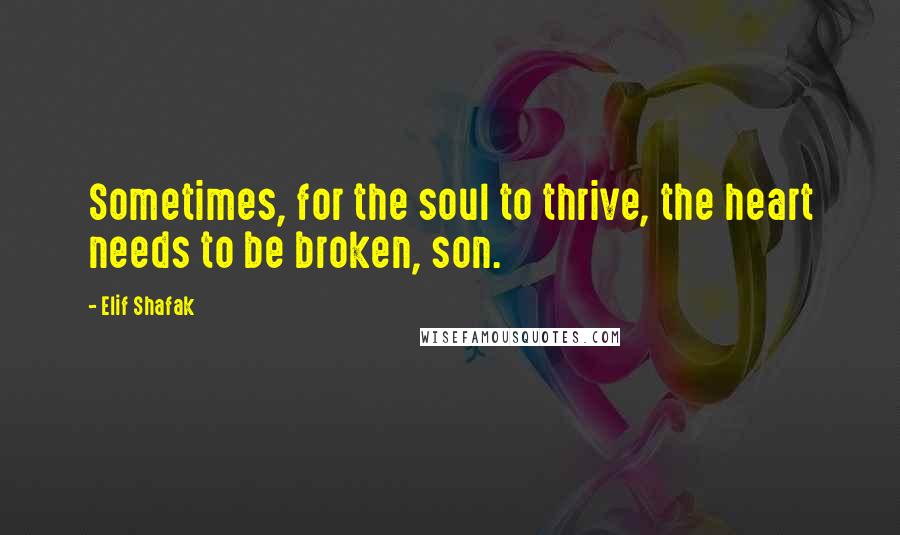 Elif Shafak Quotes: Sometimes, for the soul to thrive, the heart needs to be broken, son.