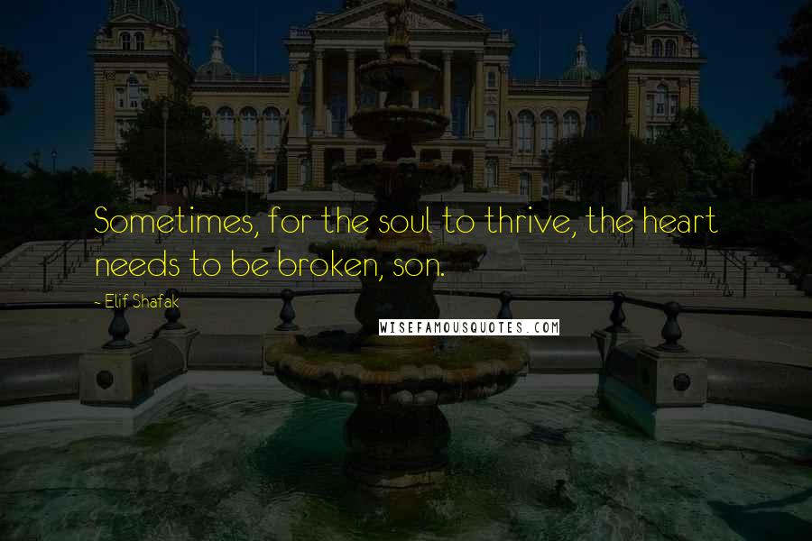 Elif Shafak Quotes: Sometimes, for the soul to thrive, the heart needs to be broken, son.