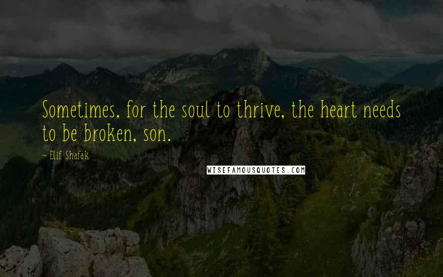 Elif Shafak Quotes: Sometimes, for the soul to thrive, the heart needs to be broken, son.