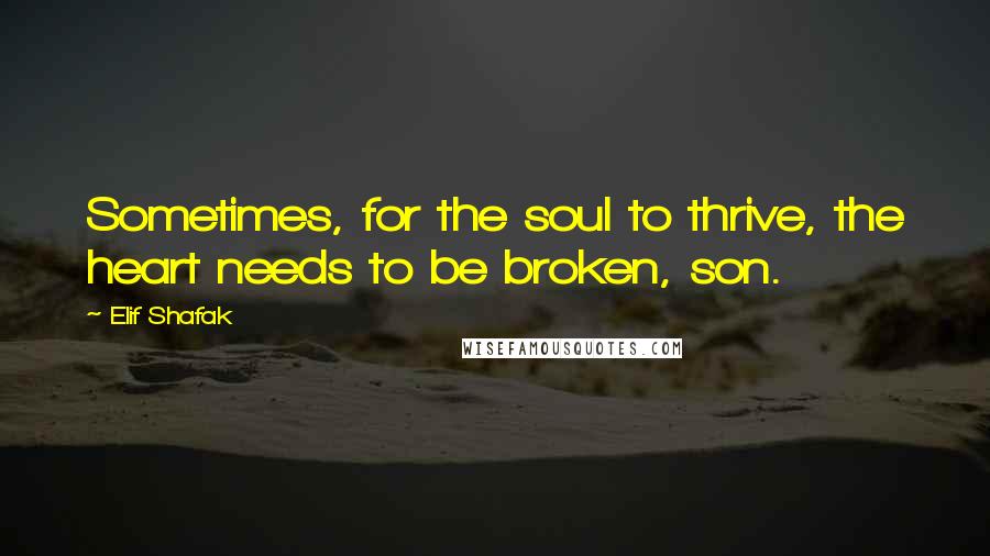 Elif Shafak Quotes: Sometimes, for the soul to thrive, the heart needs to be broken, son.