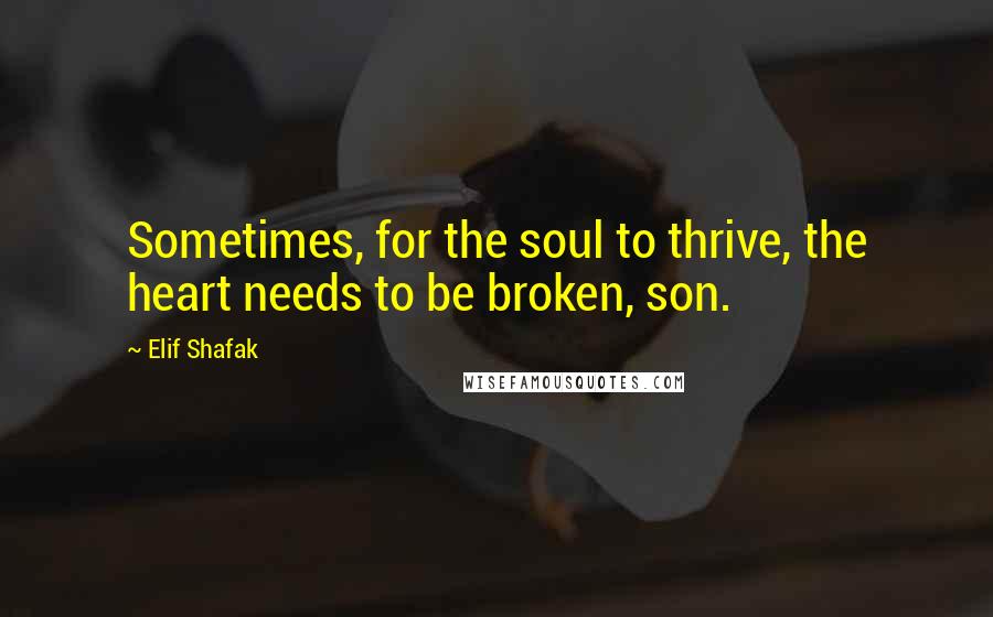 Elif Shafak Quotes: Sometimes, for the soul to thrive, the heart needs to be broken, son.