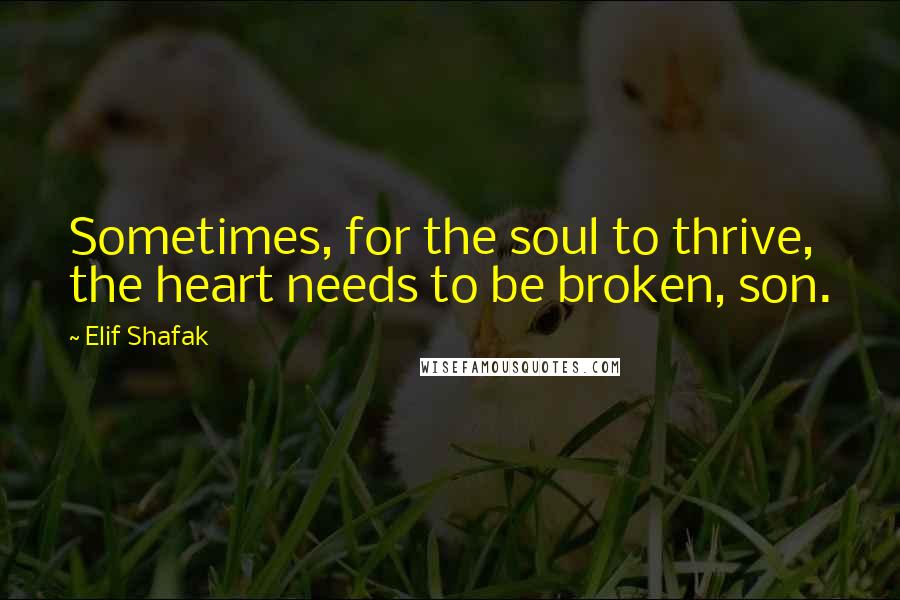 Elif Shafak Quotes: Sometimes, for the soul to thrive, the heart needs to be broken, son.