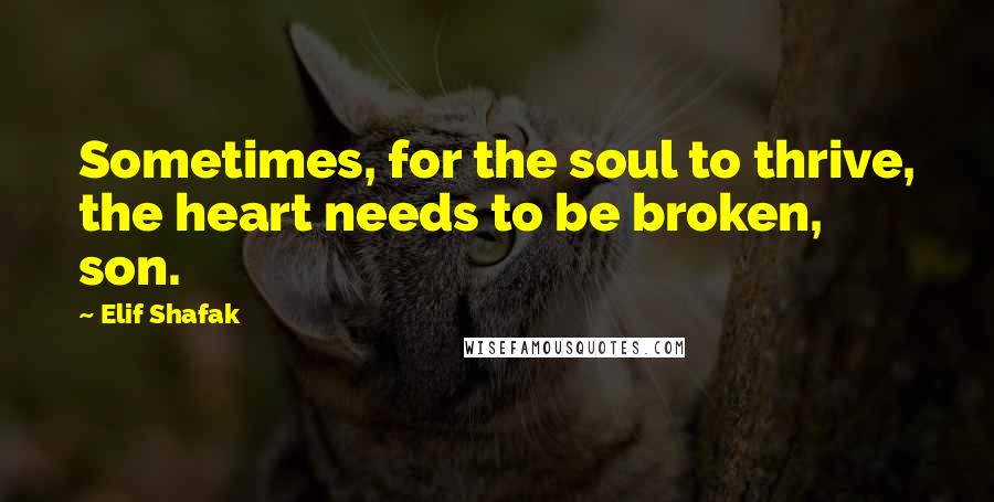 Elif Shafak Quotes: Sometimes, for the soul to thrive, the heart needs to be broken, son.