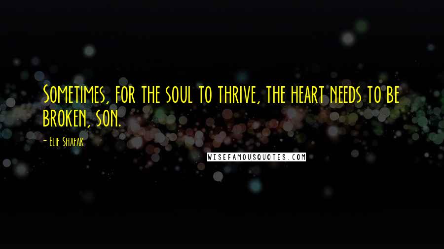 Elif Shafak Quotes: Sometimes, for the soul to thrive, the heart needs to be broken, son.