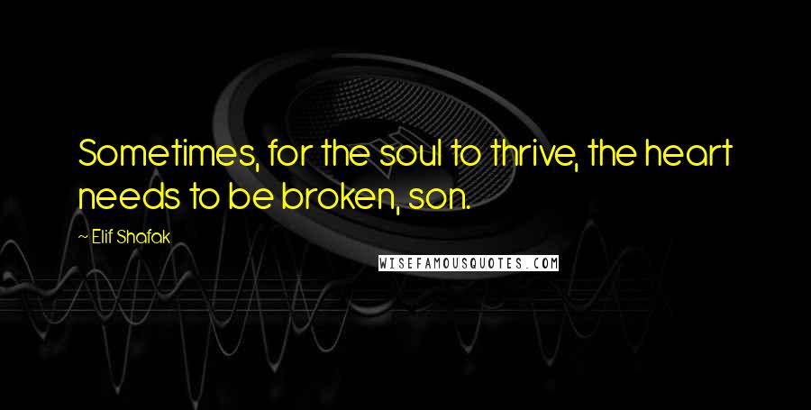 Elif Shafak Quotes: Sometimes, for the soul to thrive, the heart needs to be broken, son.