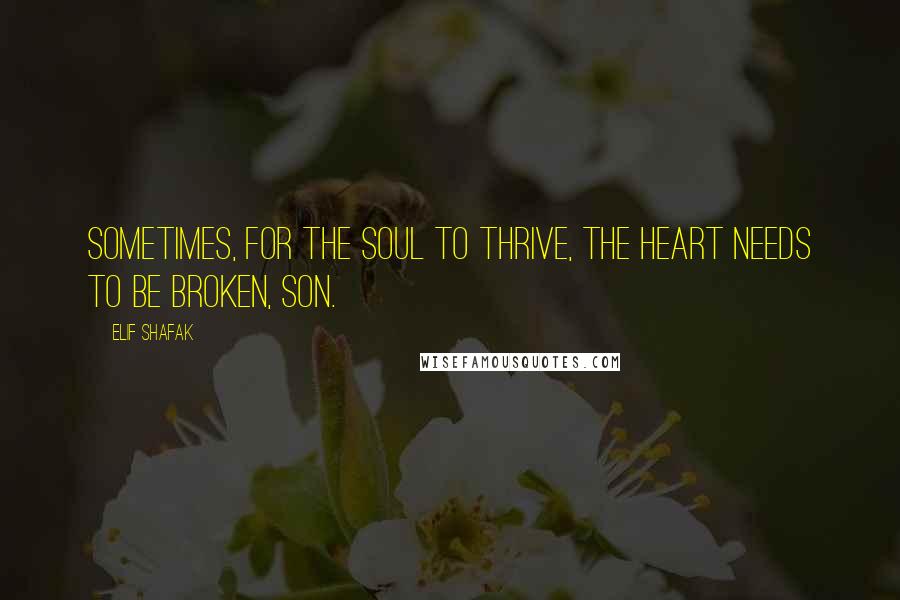 Elif Shafak Quotes: Sometimes, for the soul to thrive, the heart needs to be broken, son.