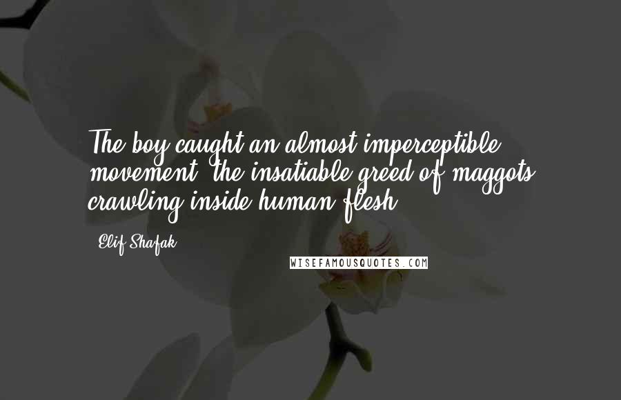 Elif Shafak Quotes: The boy caught an almost imperceptible movement, the insatiable greed of maggots crawling inside human flesh.