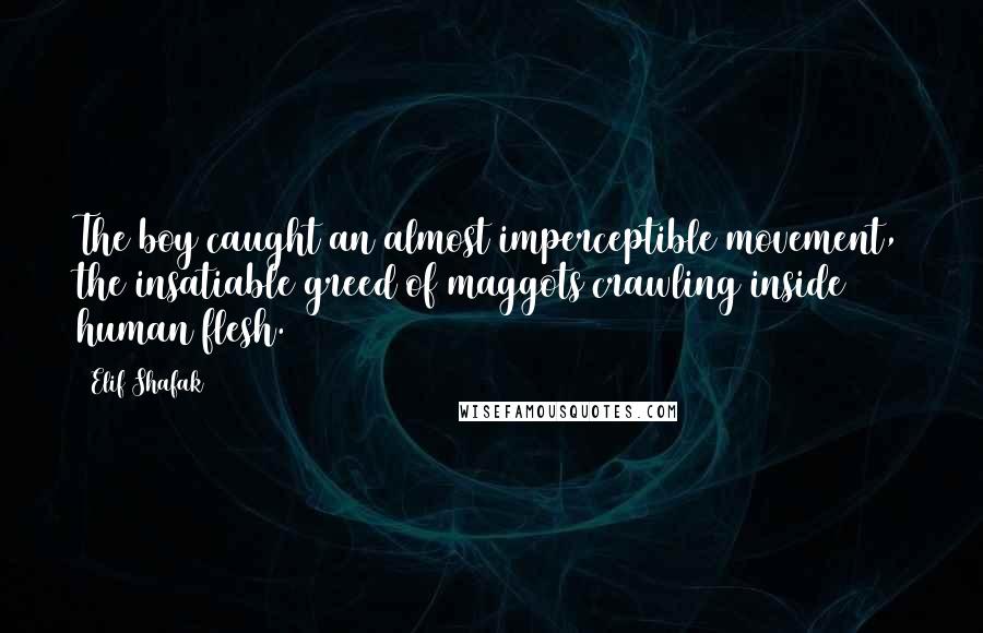 Elif Shafak Quotes: The boy caught an almost imperceptible movement, the insatiable greed of maggots crawling inside human flesh.